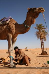 Adrar - Guides de désert de père en fils  La Famille Boussaid