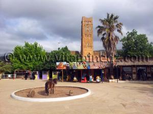 Zoo de Tlemcen, Mansourah propriété de Hadj Aissa originaire de Ghardaia