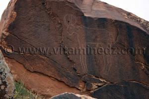 Gravures rupestres d'Oudiane Commune de Boualem, wilaya d'El Bayadh