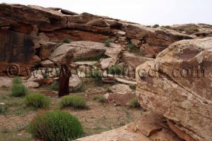 Oudiane se distingue par 3 stations rupestres près de Boualem, wilaya d\'El Bayadh