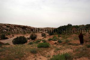 Station rupestres de Boualem, wilaya d'El Bayadh