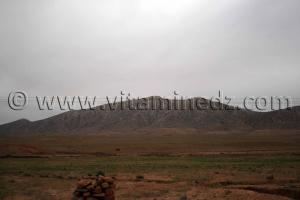 Entrée commune de Boualem, wilaya d\'El Bayadh