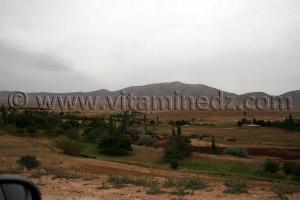 Station rupestre de Oudiane commune de Boualem, wilaya d\'El Bayadh