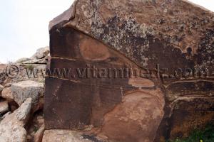 Bélier Gravures rupestres de Boualem, wilaya d\'El Bayadh