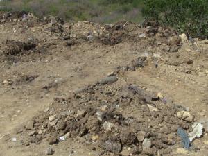 Cité d'habitation ou Décharge Publique?