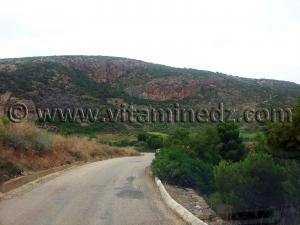 Sur la route de Agla, Honaïne.