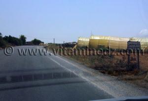 Ouled Fouhafs, sur la route de Honaïne.