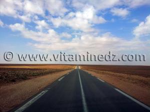 Naama, commune de Kasdir, vastes étendues de terres propices à l\'élevage de moutons, bovins ...