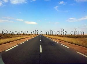 Route vers le Maroc, Berguent - Naama, commune de Kasdir, vastes étendues de terres propices à l\'élevage de moutons, bovins ...