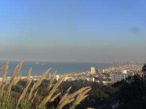 Vue sur Alger