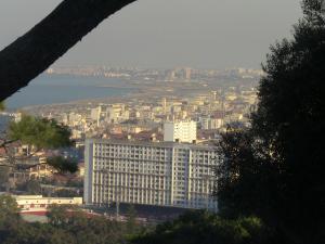 Vue sur Alger