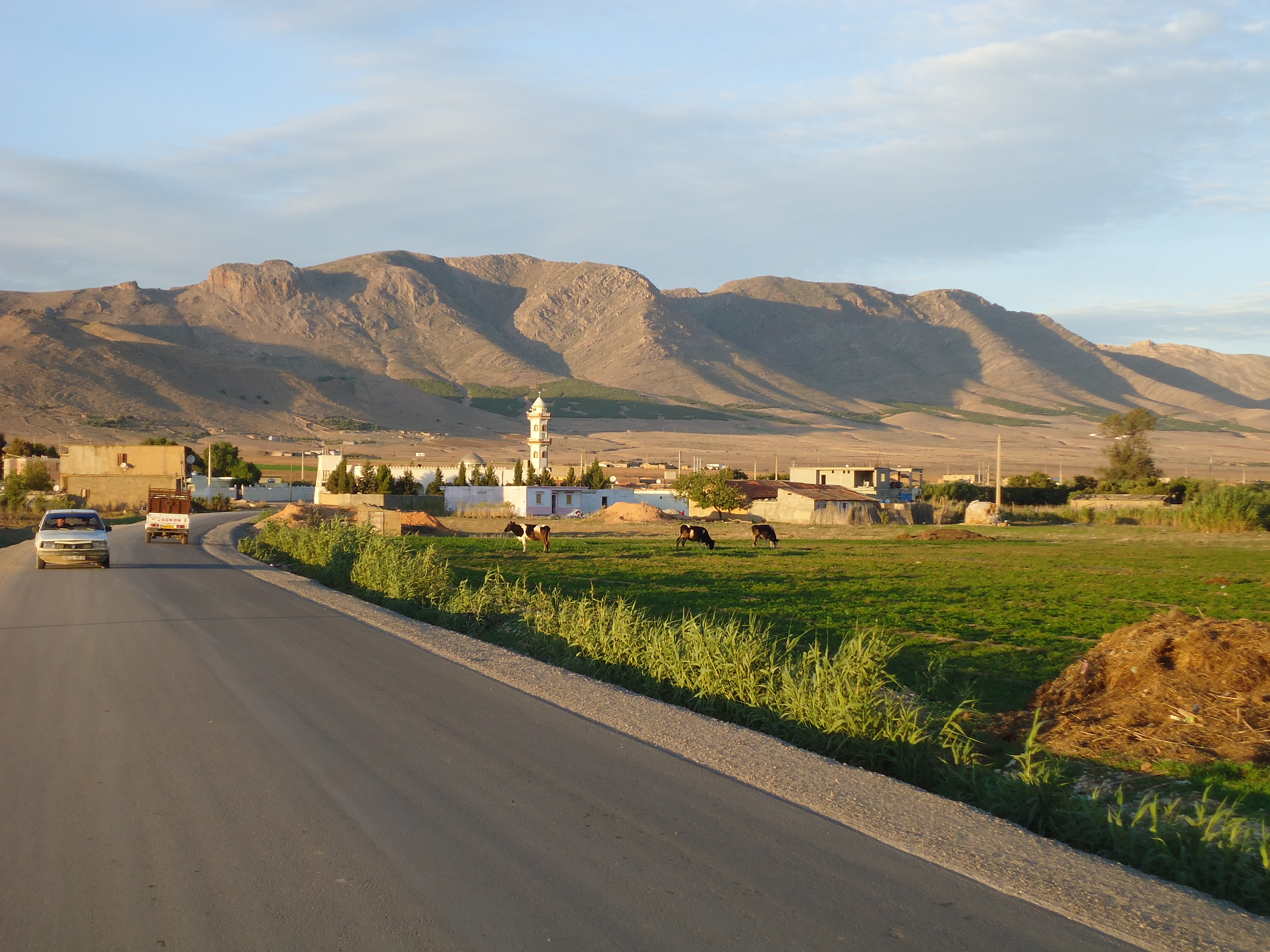 بئر الهنشير