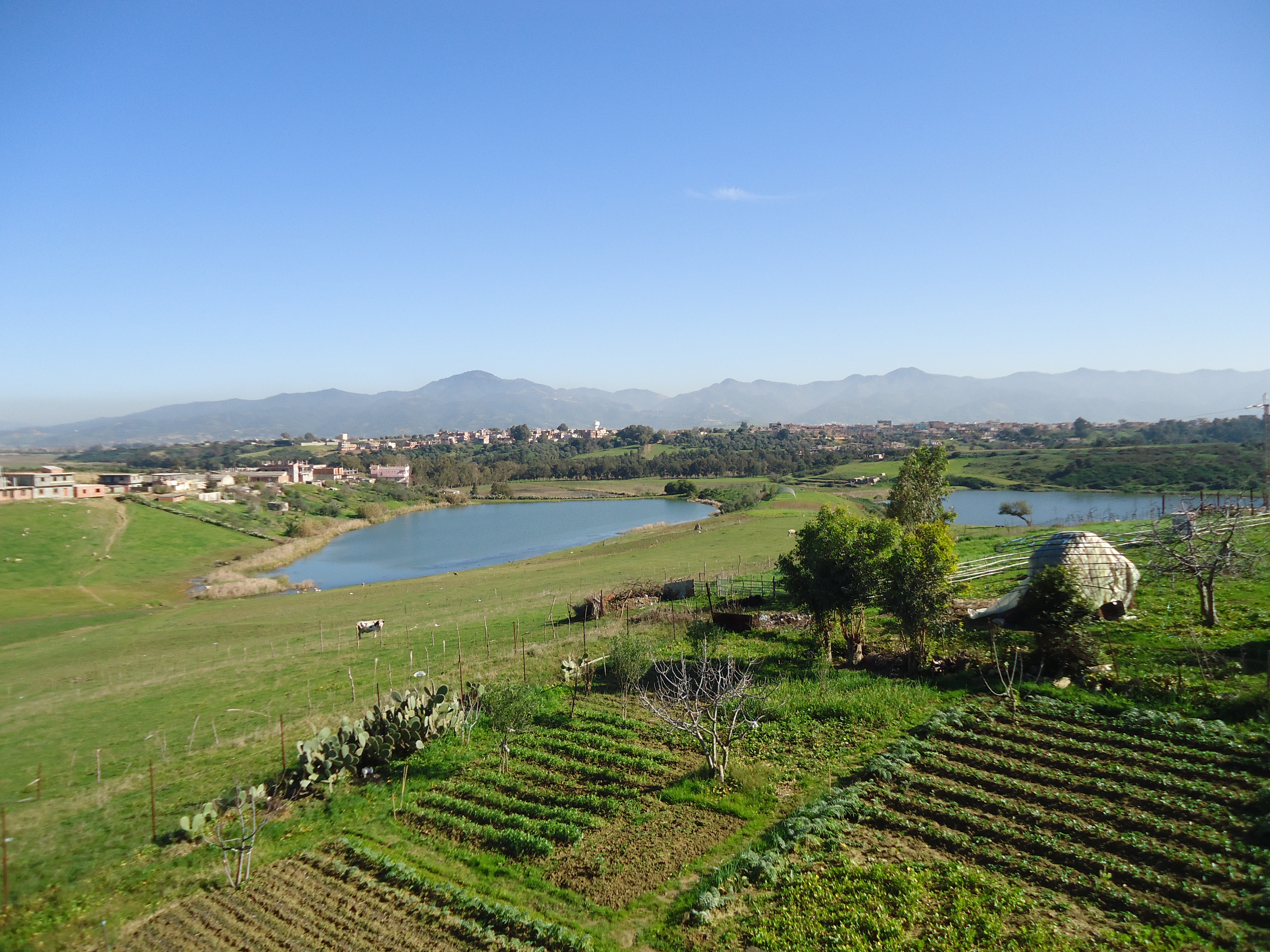 السدين قرية التلاتة