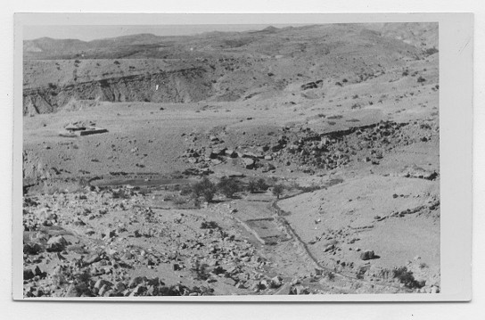 Jardin et habitation d'hiver