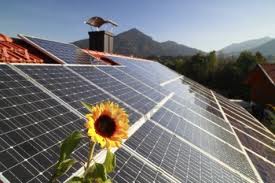 Prêts au partenariat avec l'Algérie, les Français affichent leur savoir-faire dans le solaire