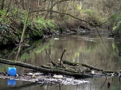 Oran - Pour atteinte à l'environnement: Quinze stations lavage-graissage fermées
