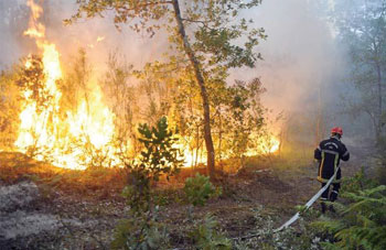 Algérie - La DGF dresse le bilan de la campagne anti-incendie 2013: Les meilleurs résultats depuis 13 ans