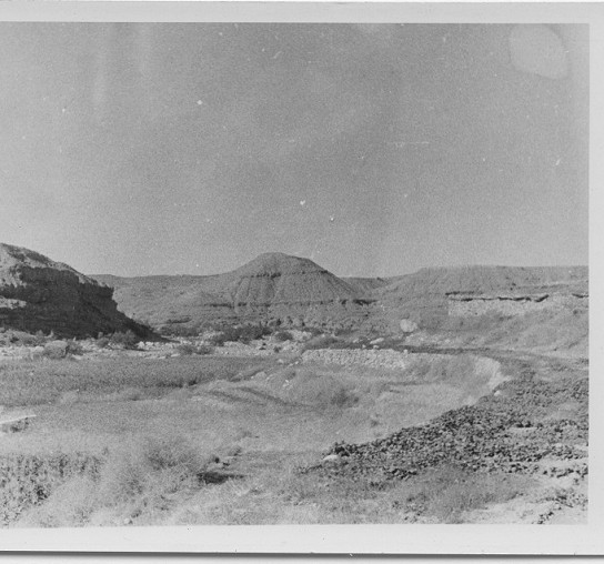 Oued Mestaoua.Terres irriguées !