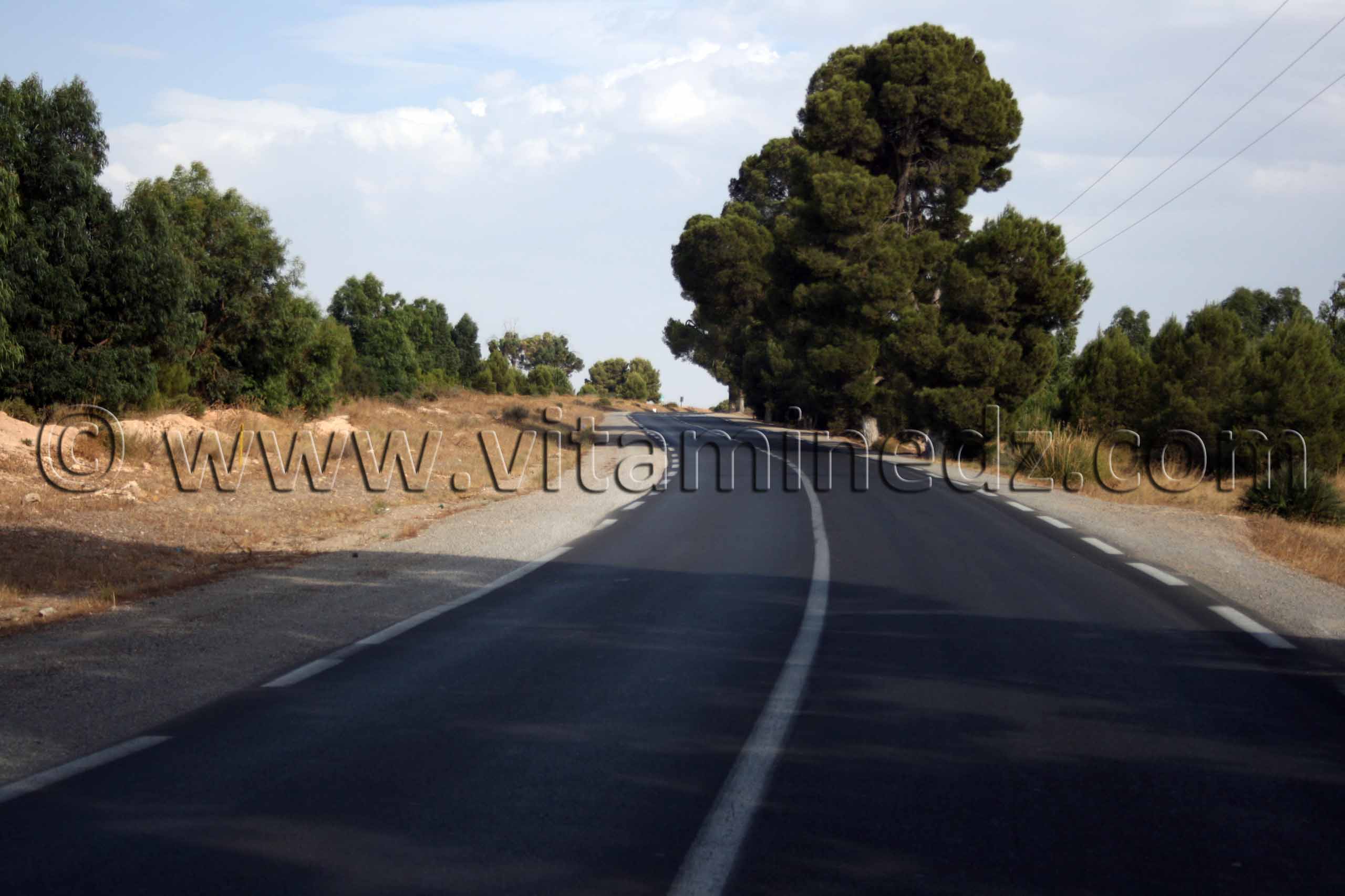 Route de la commune de Ben achiba Chelia, wilaya de Sidi Belabbes