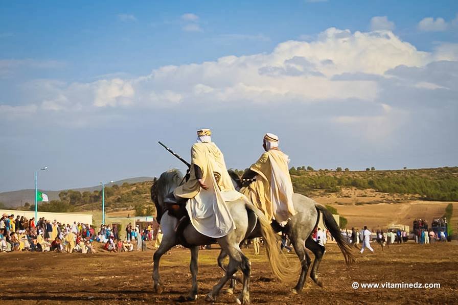 Beaux cavaliers Waada de Tenira, Wilaya de Sidi Bel Abbes