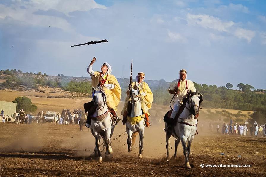 Joli spectacle de Fantasia Waada de Tenira, Wilaya de Sidi Bel Abbes