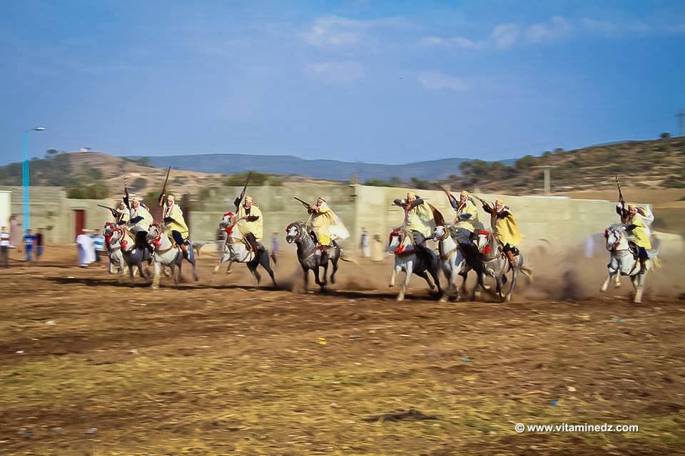 Fantasia, cavaliers bardes - Waada de Tenira, Wilaya de Sidi Bel Abbes