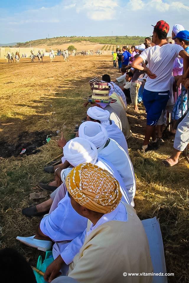 Premières loges de spectacle - Waada de Tenira, Wilaya de Sidi Bel Abbes