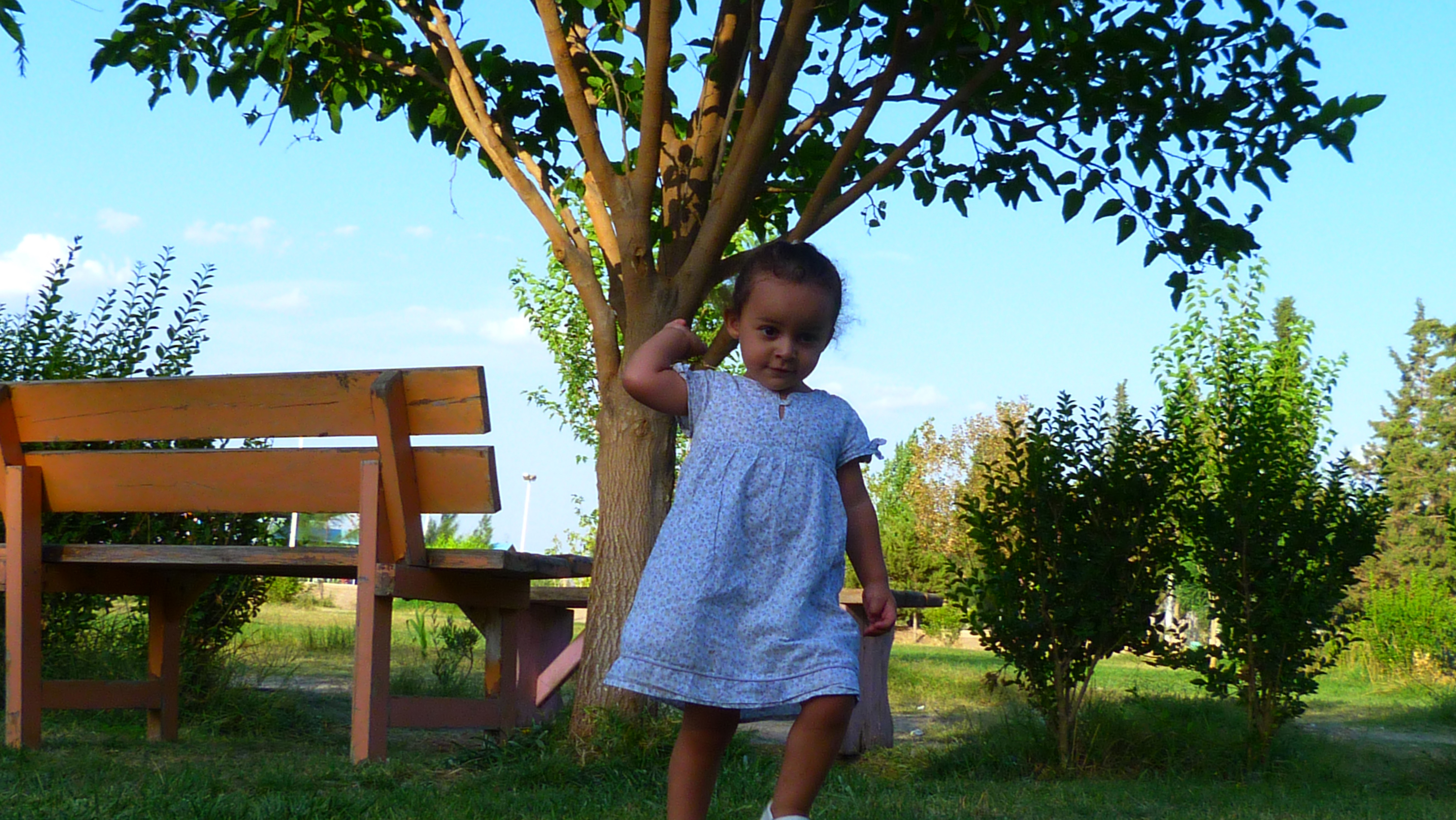 parc d'attraction batna حظيرة باتنة