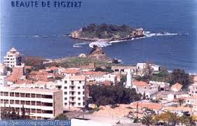 TIZI OUZOU -  Ils veulent des aires de jeu et des espaces verts dans leur cité:  Des citoyens s’opposent à un projet de 47 logements à Tigzirt