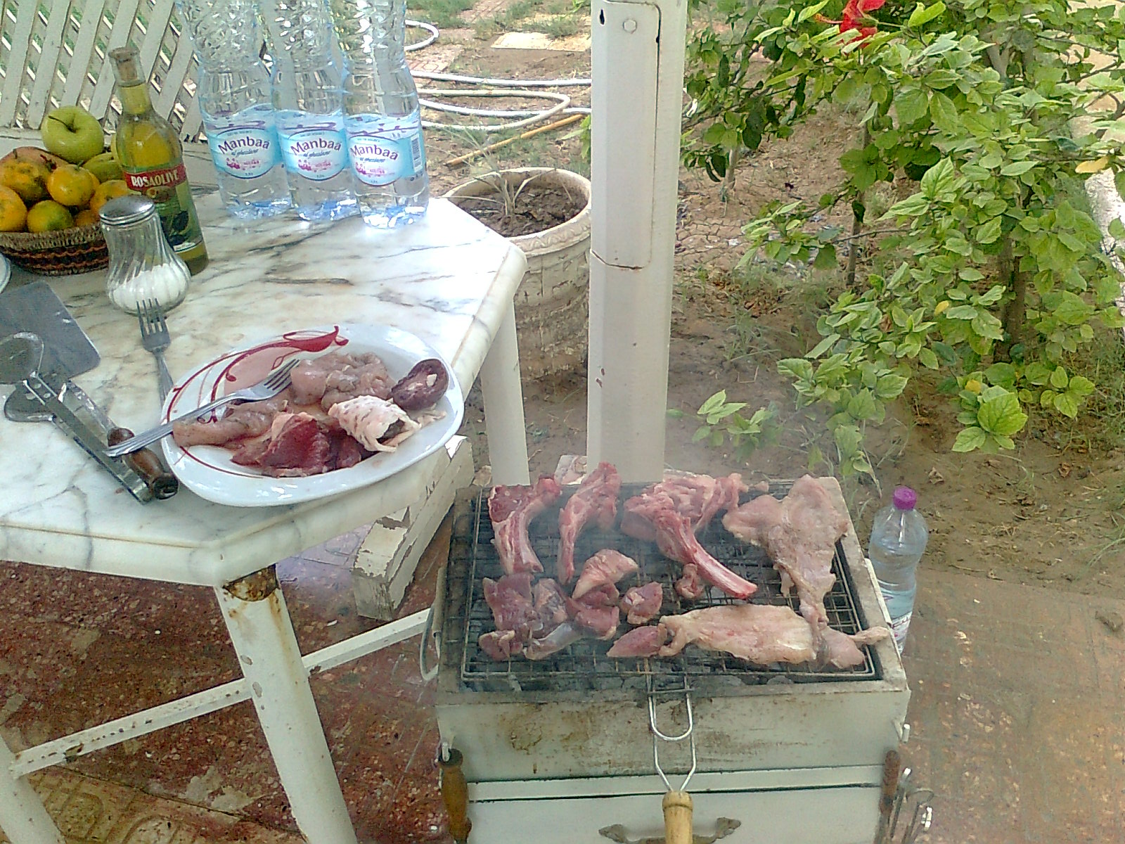 BARBECUE DE JARDIN DE MAISON