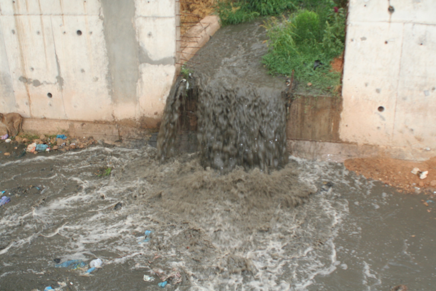 La terrifiante pollution