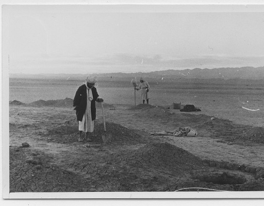 Tasourit Belkacem vient de fermer un silo avec de la terre à l'aide d'une pelle en fer