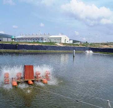 Ferme aquacole de la Marsa:  Des résultats encourageants en si peu de temps
