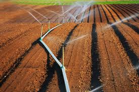 Aïn-Témouchent -  La politique de gestion de l’eau d’irrigation en débat