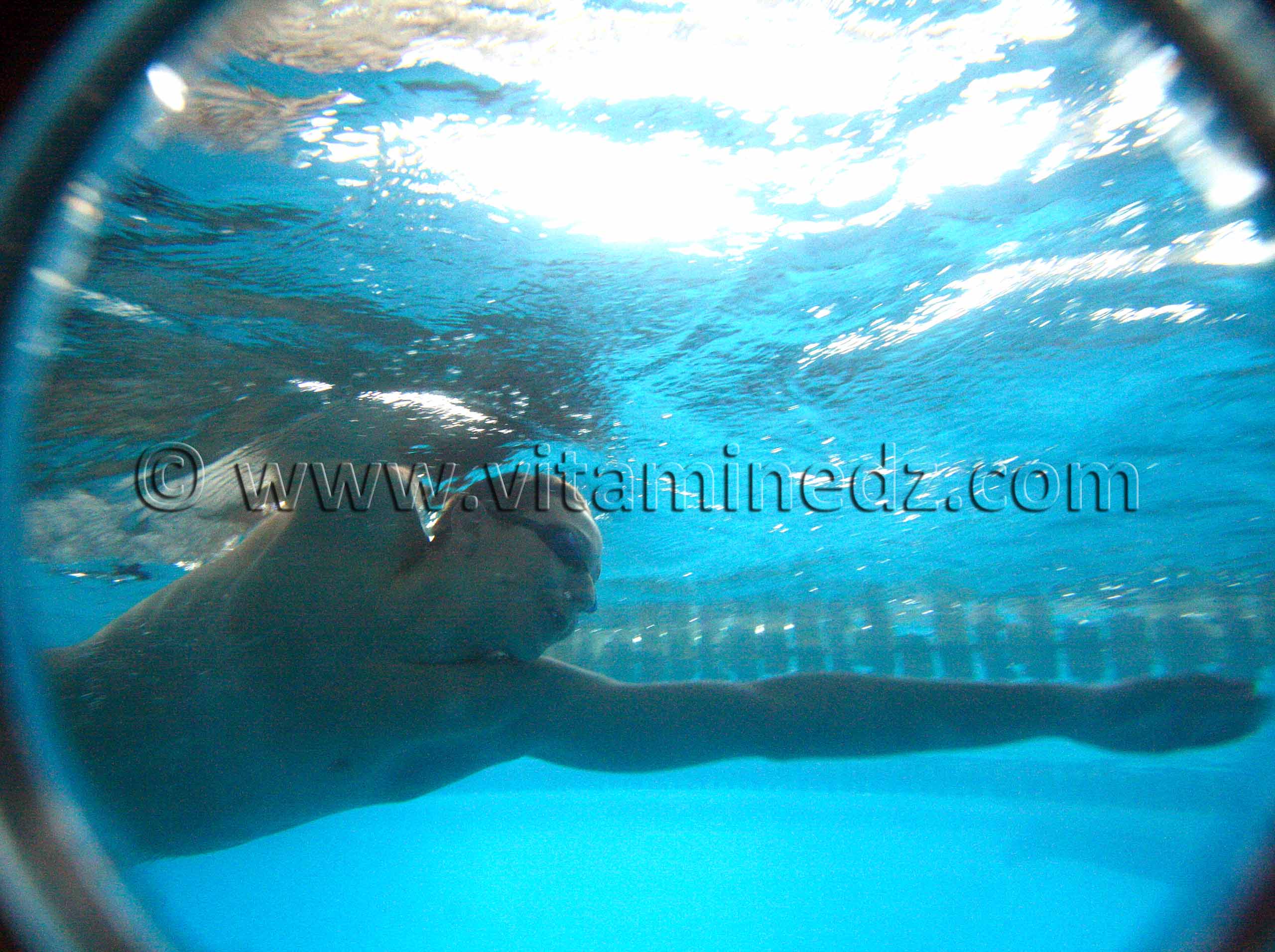 Tlemcen - Natations  Equipe de nageurs du WAT à la Piscine olympique de Tlemcen, Manager  Réda Yadi