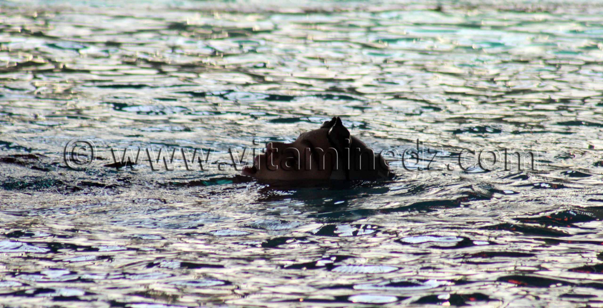 Tlemcen - Natation Equipe de nageurs du WAT à la Piscine olympique de Tlemcen, Manager  Réda Yadi