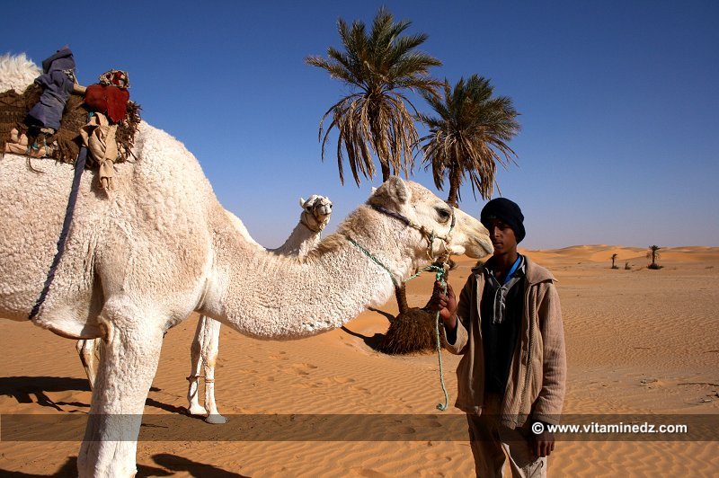 Guides Sahara de père en fils  La Famille Boussaïd