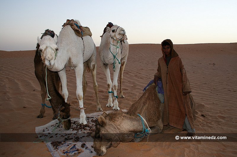 Guides de désert de père en fils  La Famille Boussaid