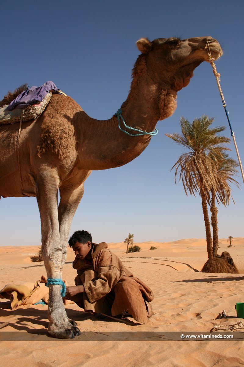 Adrar - Guides de désert de père en fils  La Famille Boussaid