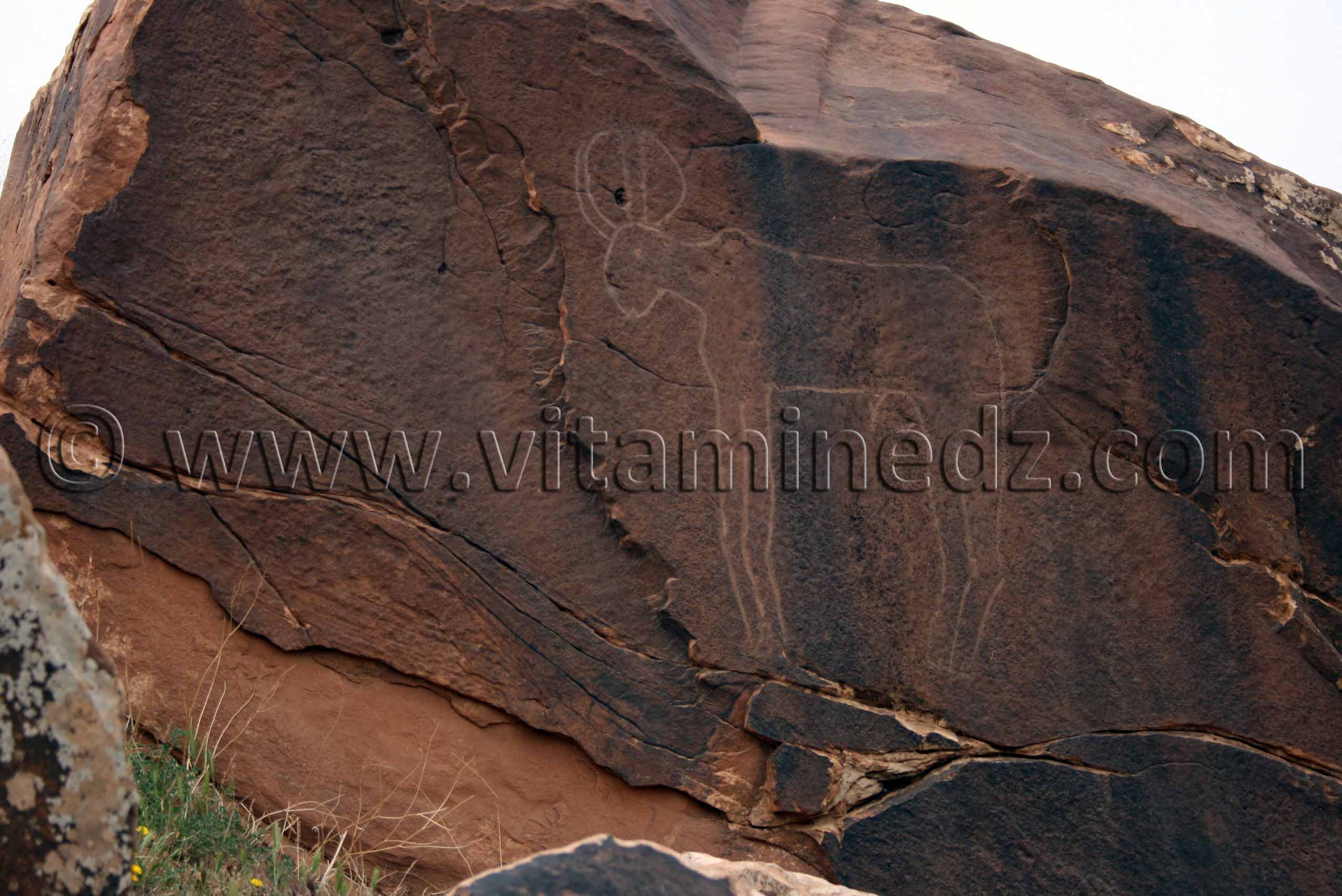 Gravures rupestres d'Oudiane Commune de Boualem, wilaya d'El Bayadh