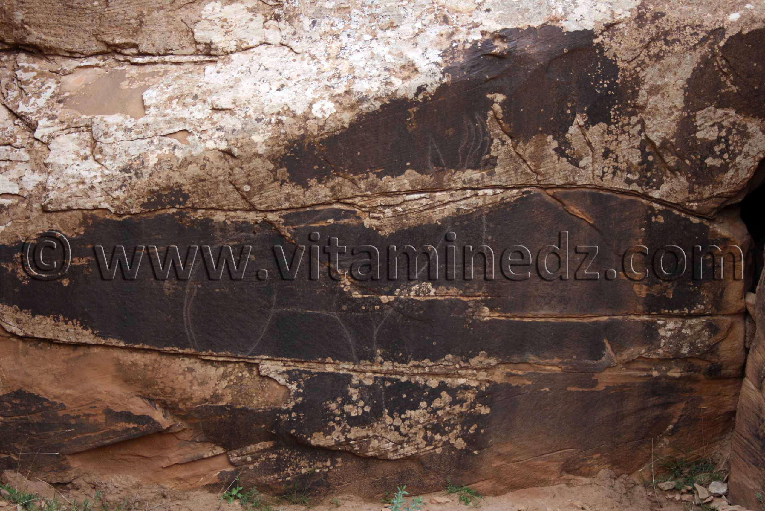 Gravures rupestres d'Oudiane Commune de Boualem, wilaya d'El Bayadh