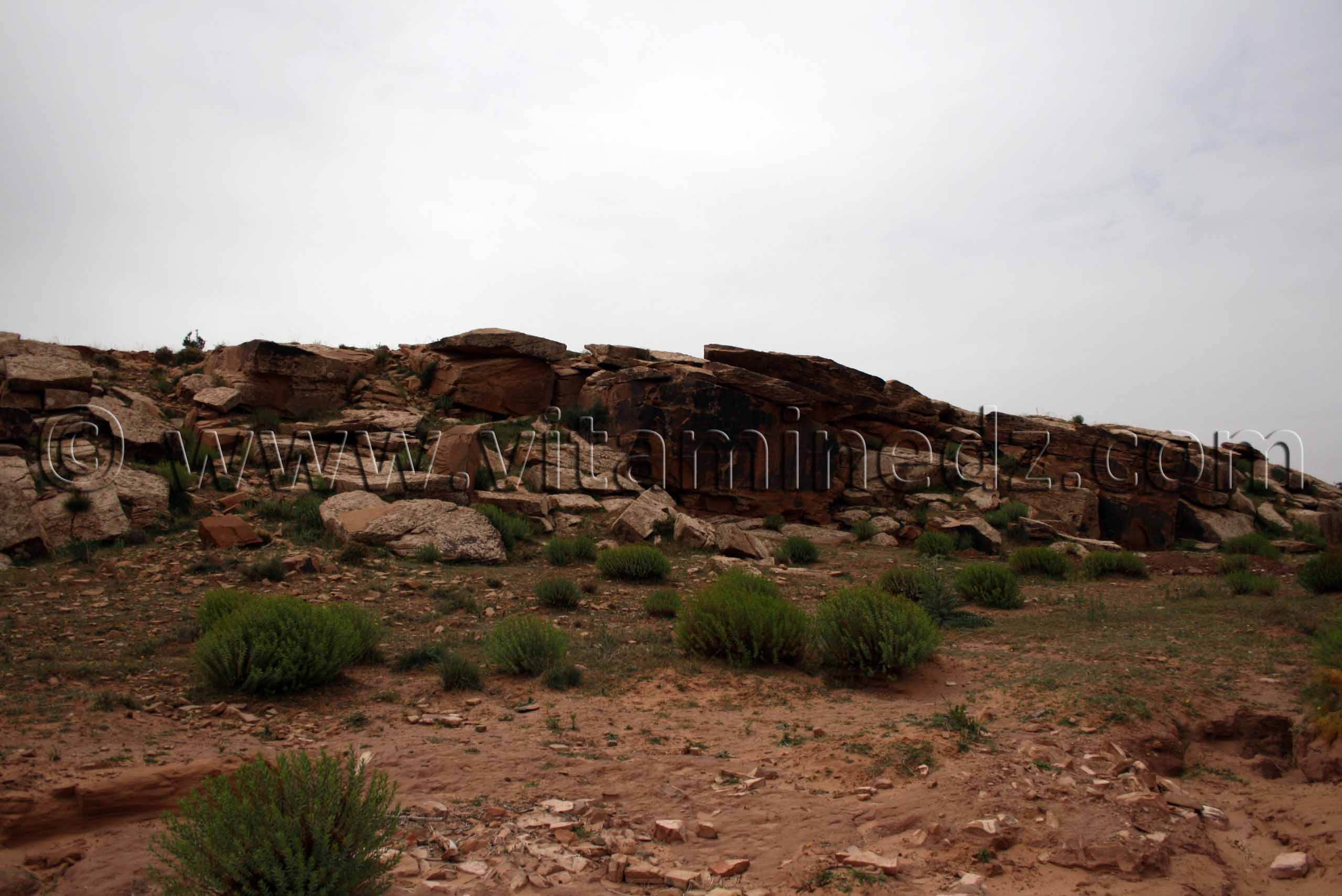 Site préhistorique - Gravures rupestres de Boualem, wilaya d'El Bayadh