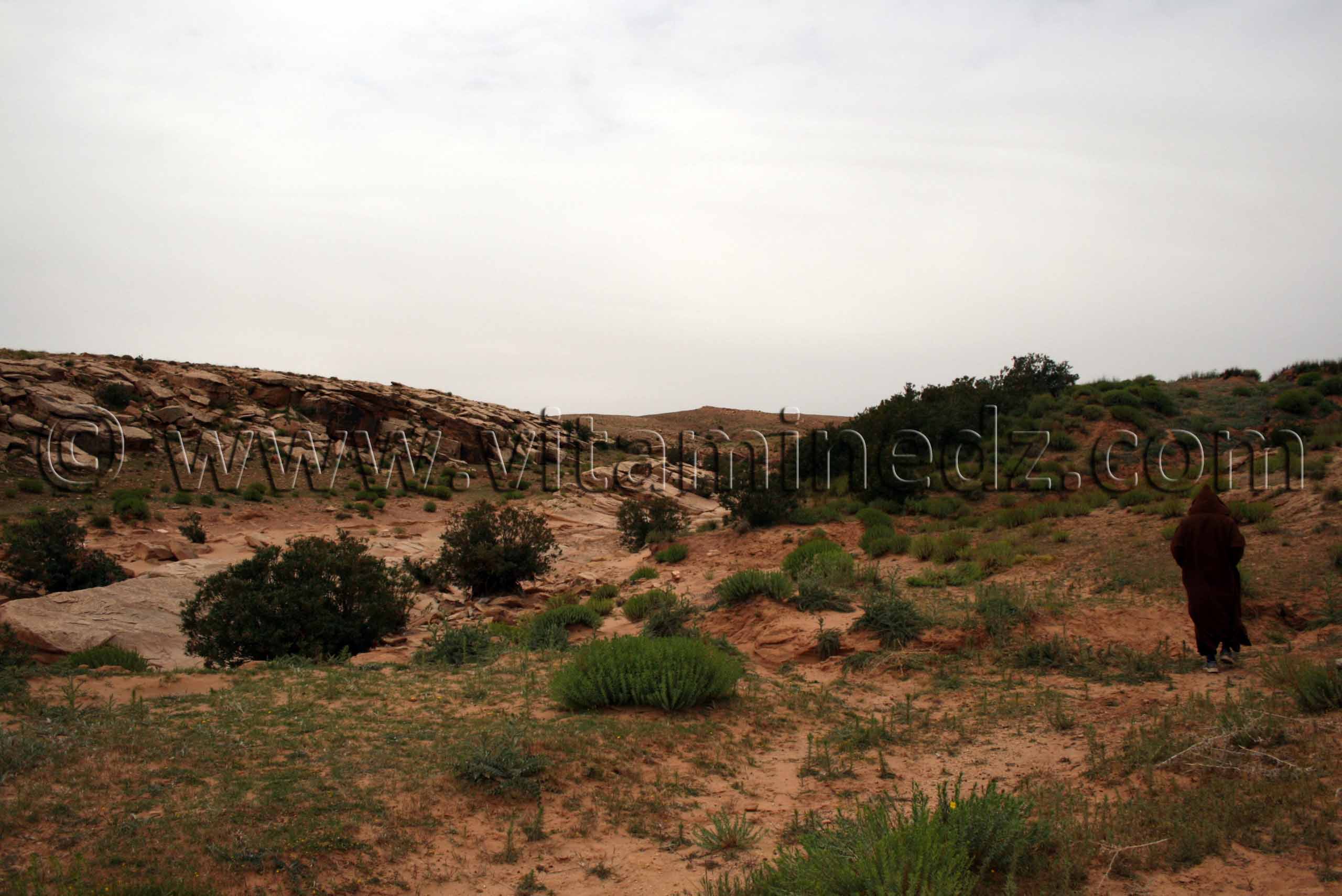 Station rupestres de Boualem, wilaya d'El Bayadh
