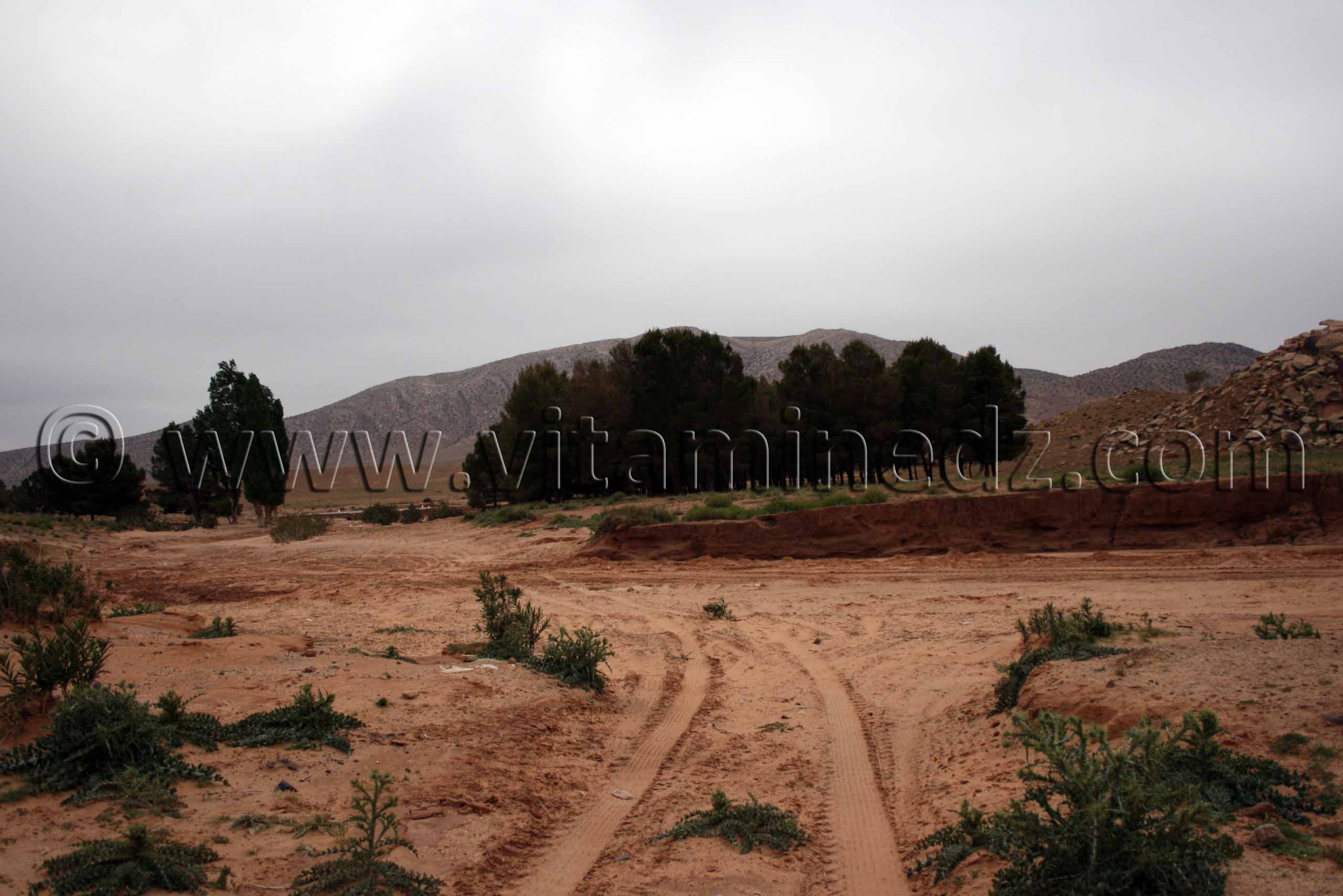 Vers la Station de Ouediane près de Boualem, wilaya d'El Bayadh