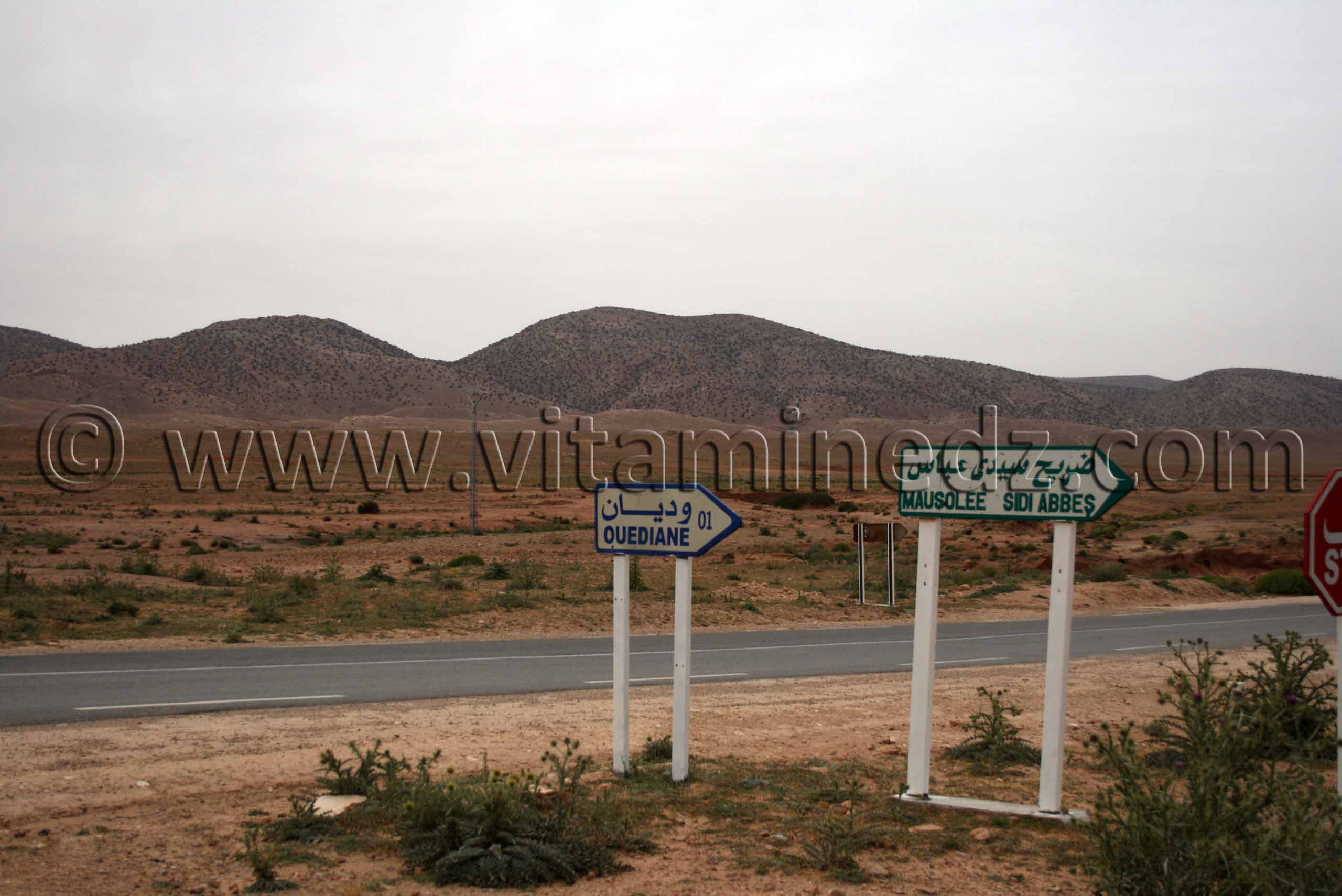 Oudiane près de Boualem, wilaya d'El Bayadh