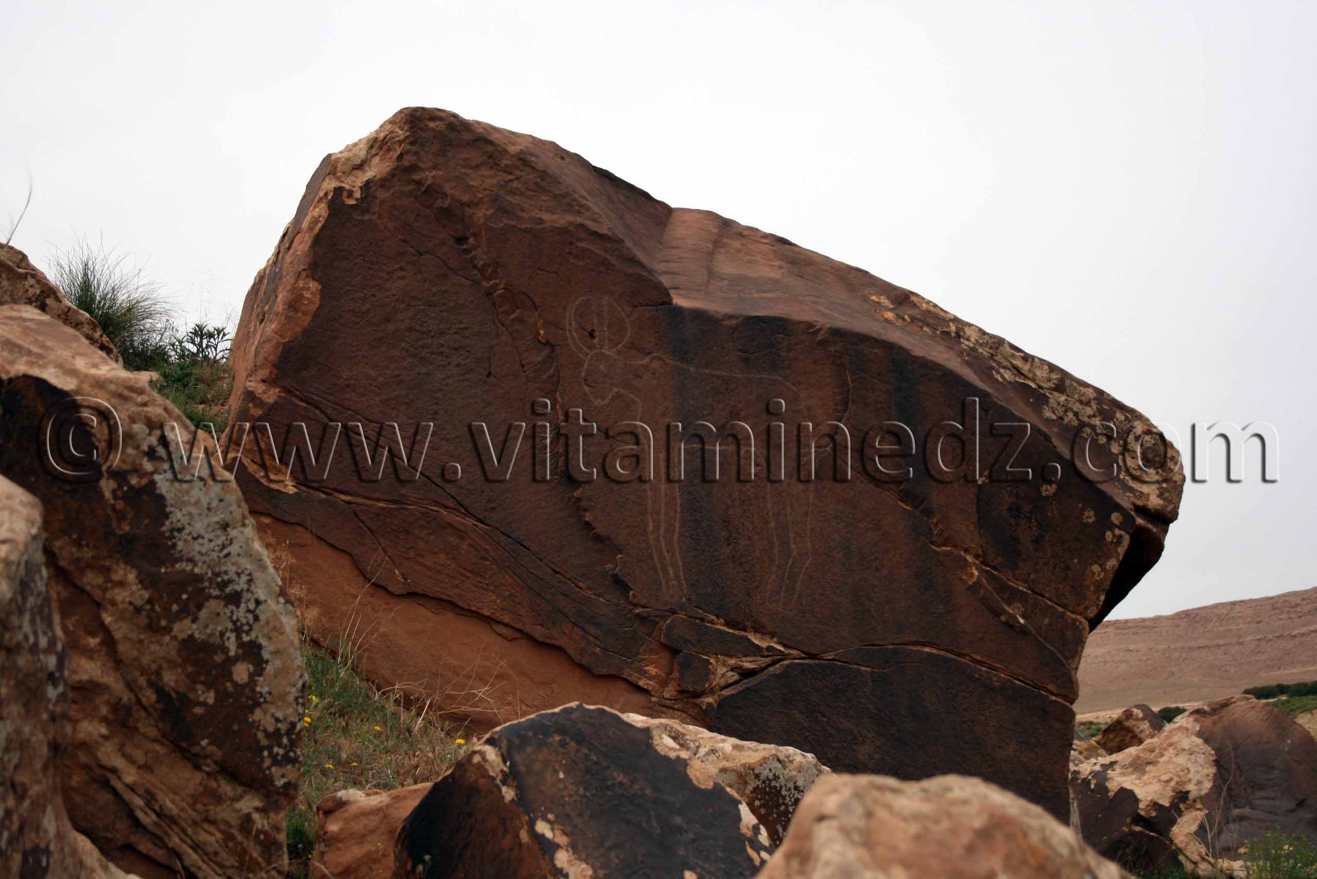 Gravure de Boualem  Devenue célèbre dans le monde des spécialistes de l’art rupestre,  la gravure, connue sous l’appellation Bélier de Boualem, se trouve  dans la commune de Boualem, localité située à mi-chemin entre  El Bayadh et Aflou.