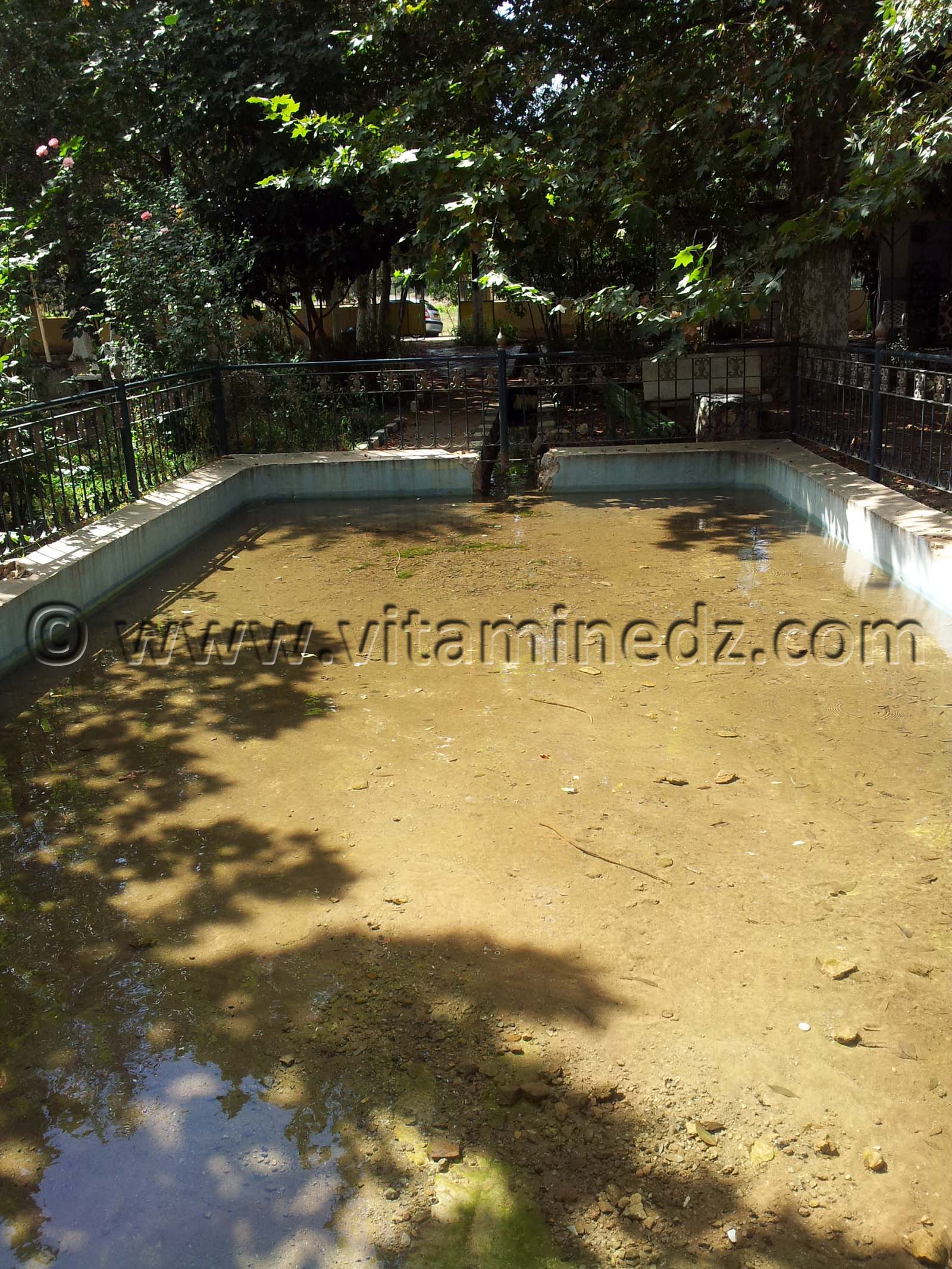 Tlemcen - Ain Fezza, source intarissable d'eau ... MAIS MAL EXPLOITE