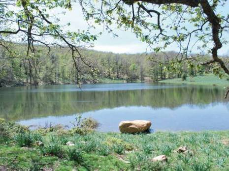 Algérie - Lac noir de l’Akfadou: Un paradis à 1.200 m d’altitude