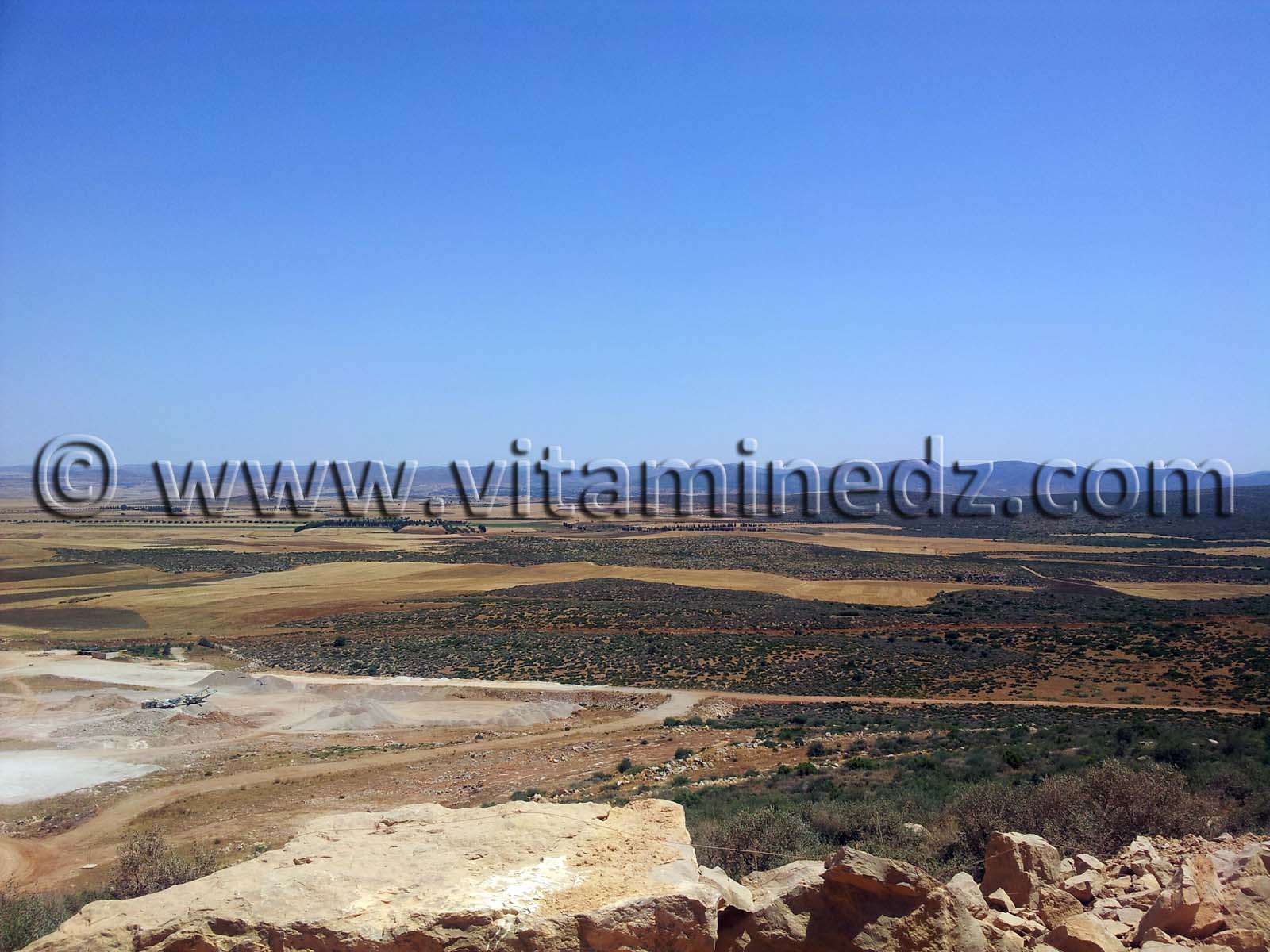 Région agricole de Sidi Senouci