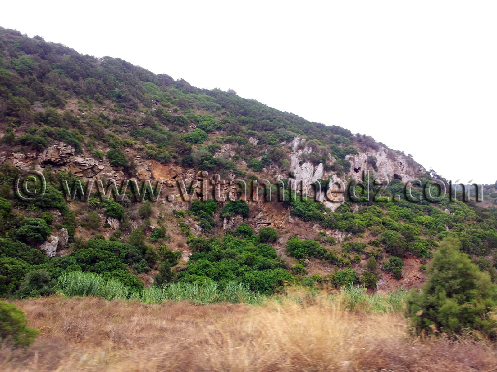 Sur la route de Honaïne.